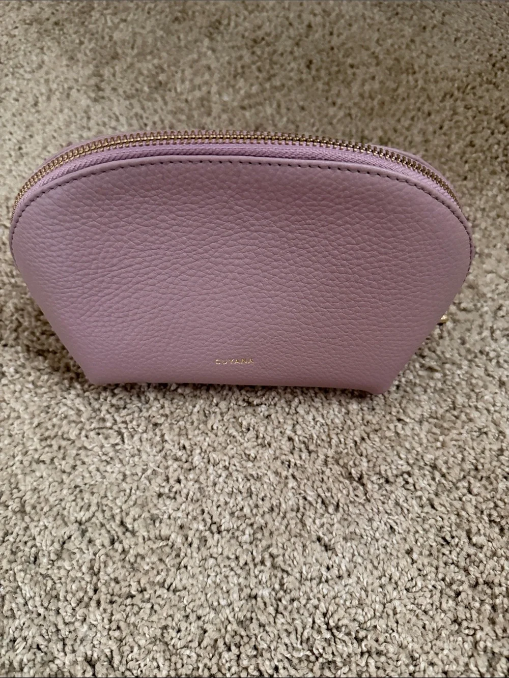 Cuyana Dusty Rose Leather Cosmetic Pouch with Gold Zipper